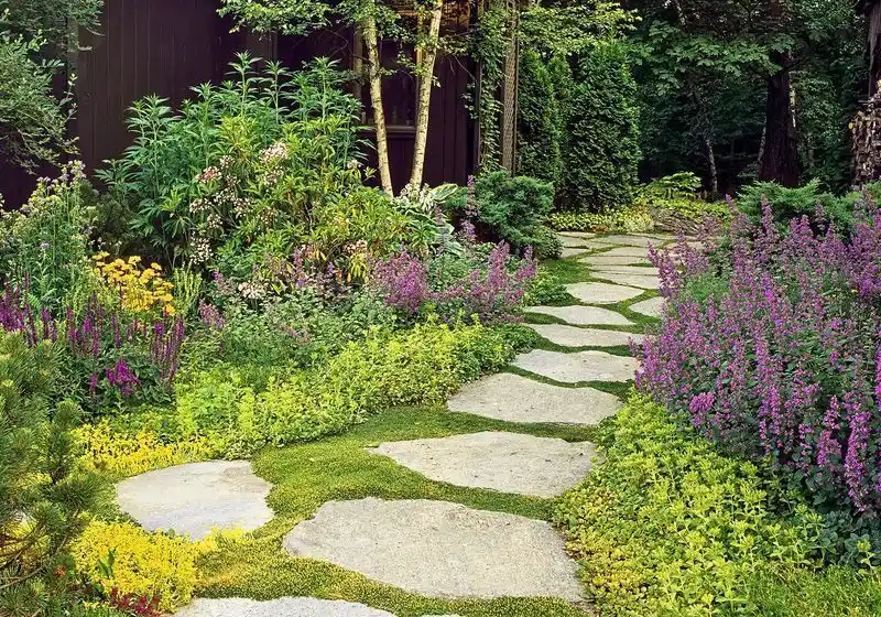 Ground Cover Solutions