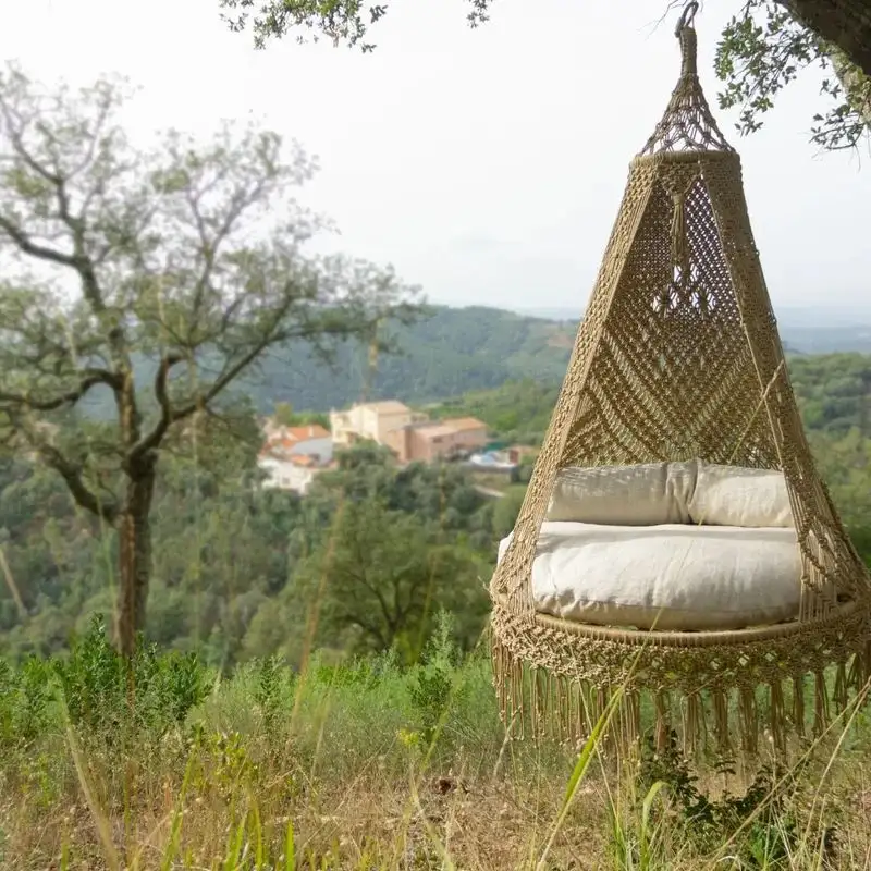 Hang Hammocks or Swings