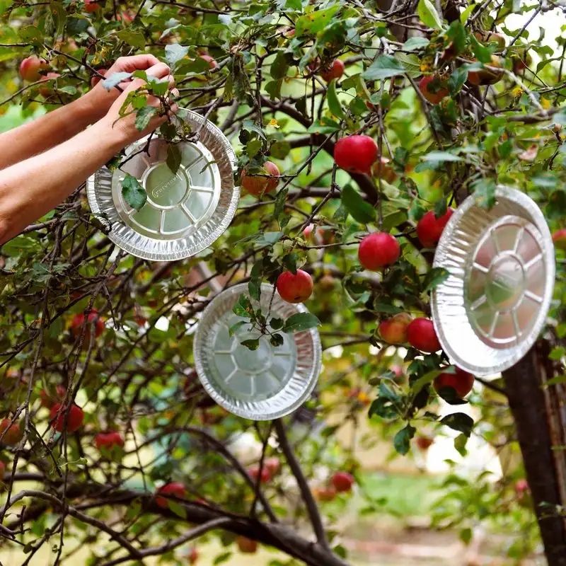 Hang Reflective Objects
