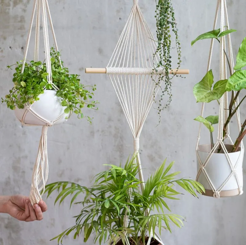 Hanging Planters