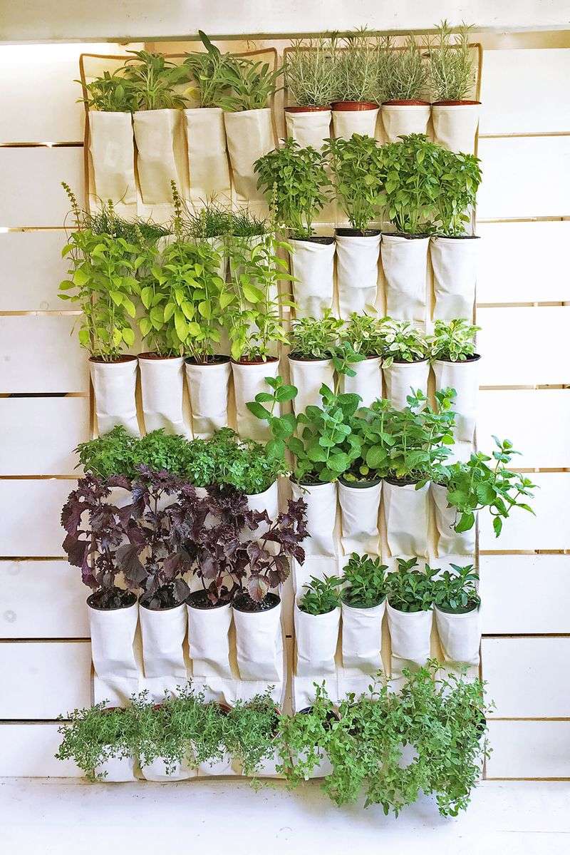 Hanging Shoe Organizer Garden