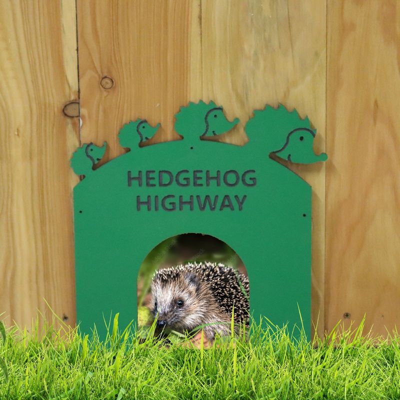 Hedgehog Highways