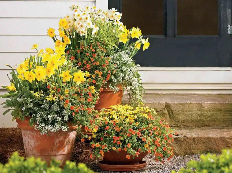 Herb Garden Planters