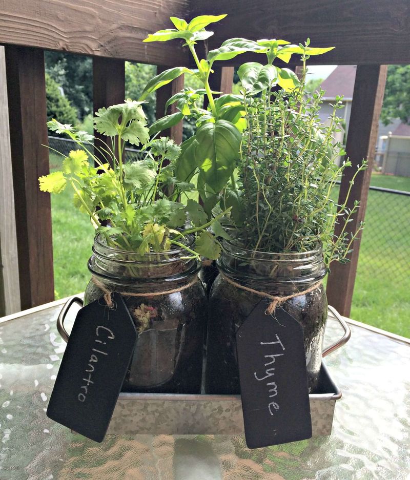 Herb Garden