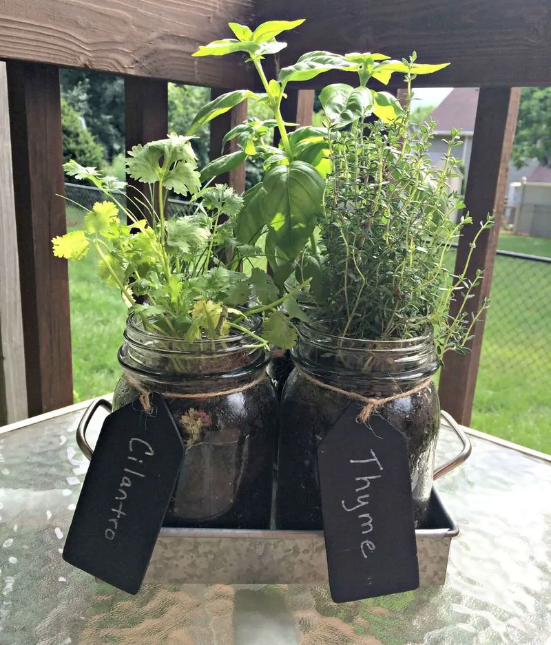 Herb Garden