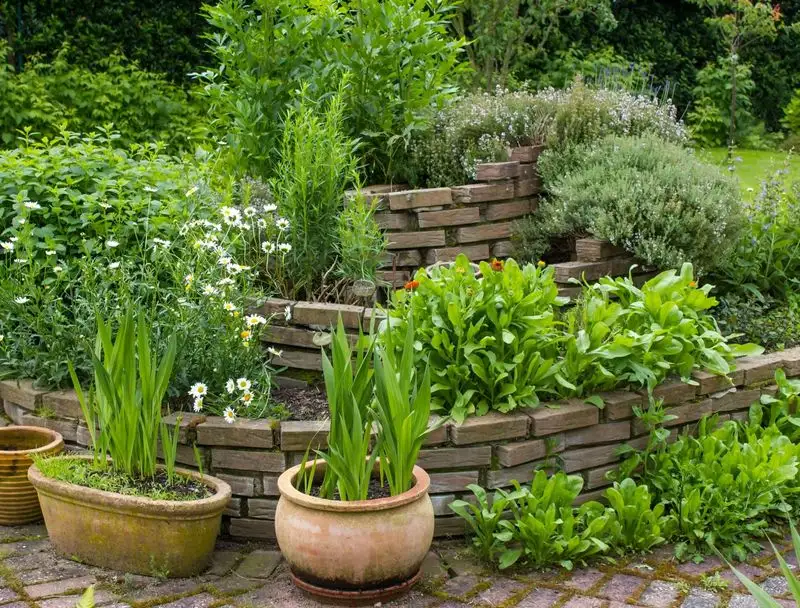 Herb Spiral