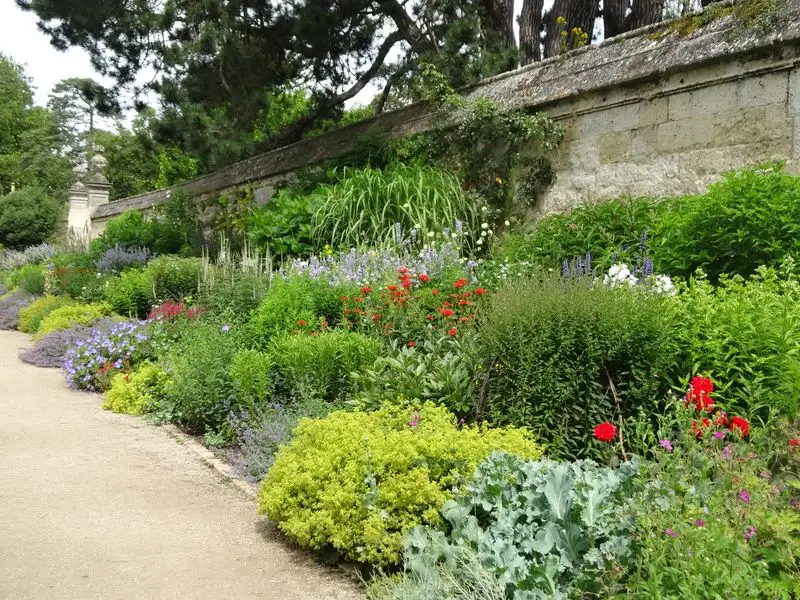 Herbaceous Borders