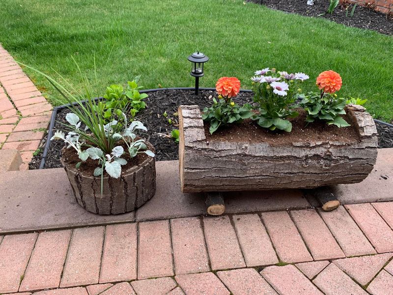 Hollow Log Planter