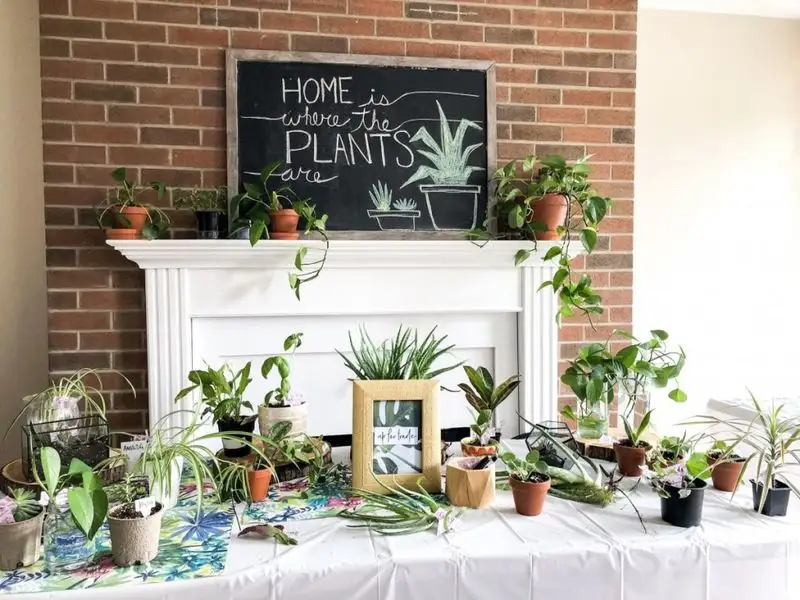 Host a Plant Exchange Party