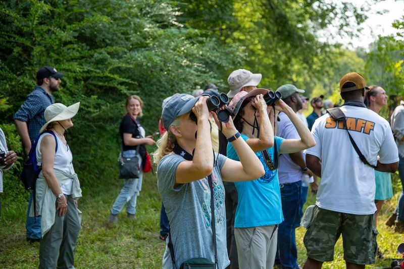 Hosting Bird Enthusiast Events