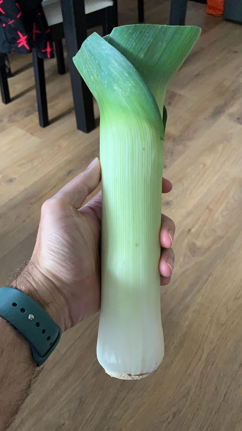 Huge Leek