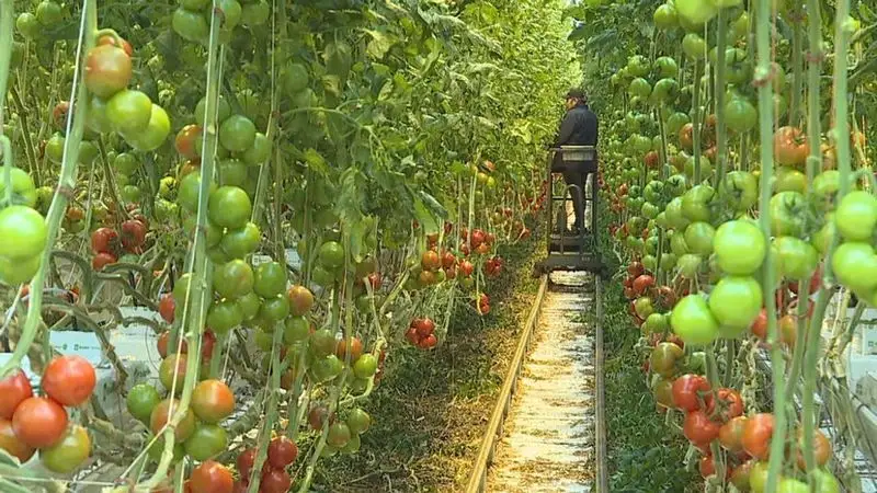 Ignoring Local Climate