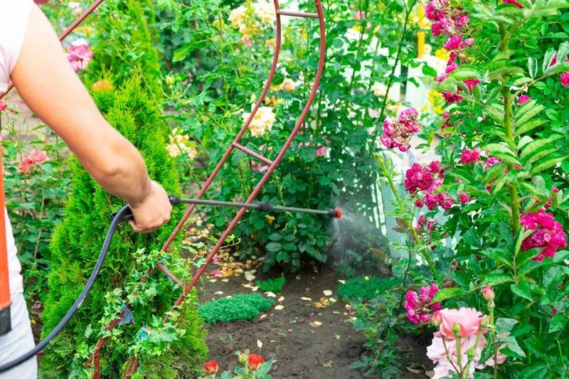 Ignoring Pest Management