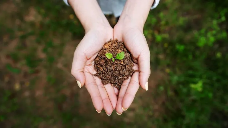 Ignoring Soil Quality