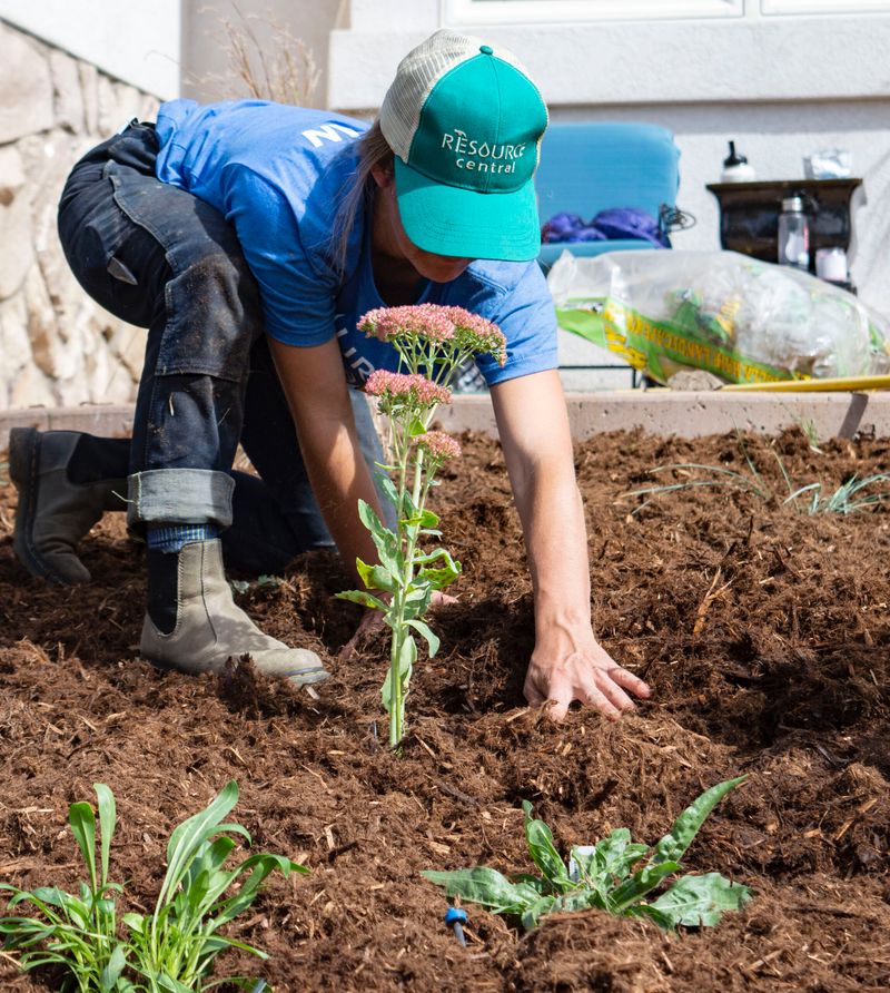 Implement Mulching Techniques