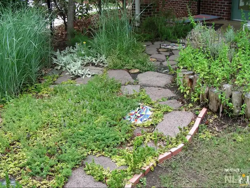 Implement Sensory Paths
