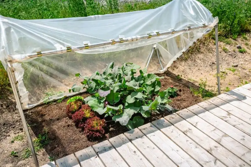 Implementing Polytunnels