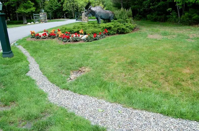 Improper Drainage