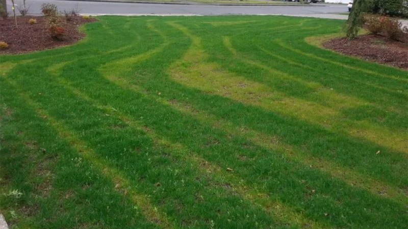 Improper Use of Fertilizers