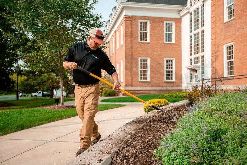 Inadequate Mulching