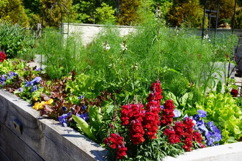 Incorporate Companion Planting