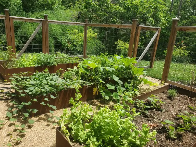 Incorporate Edible Plants