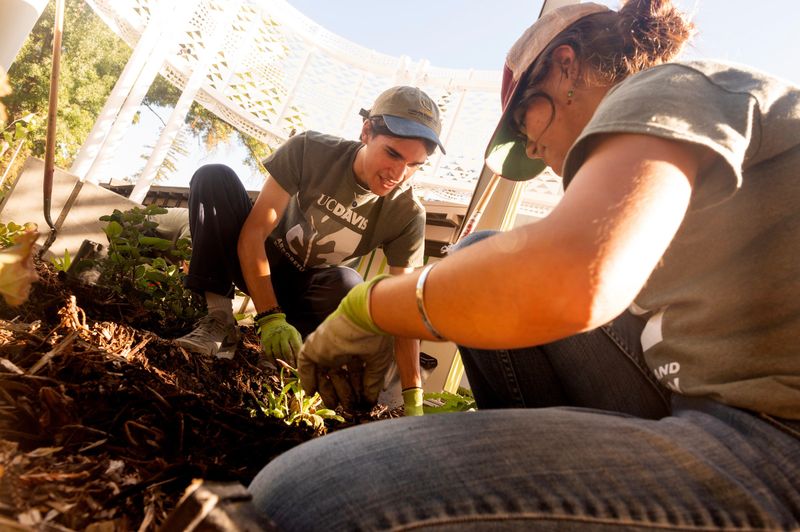 Incorporating Native Plants