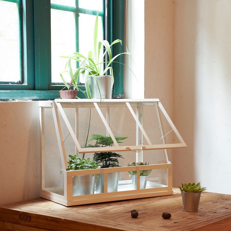 Indoor Greenhouse