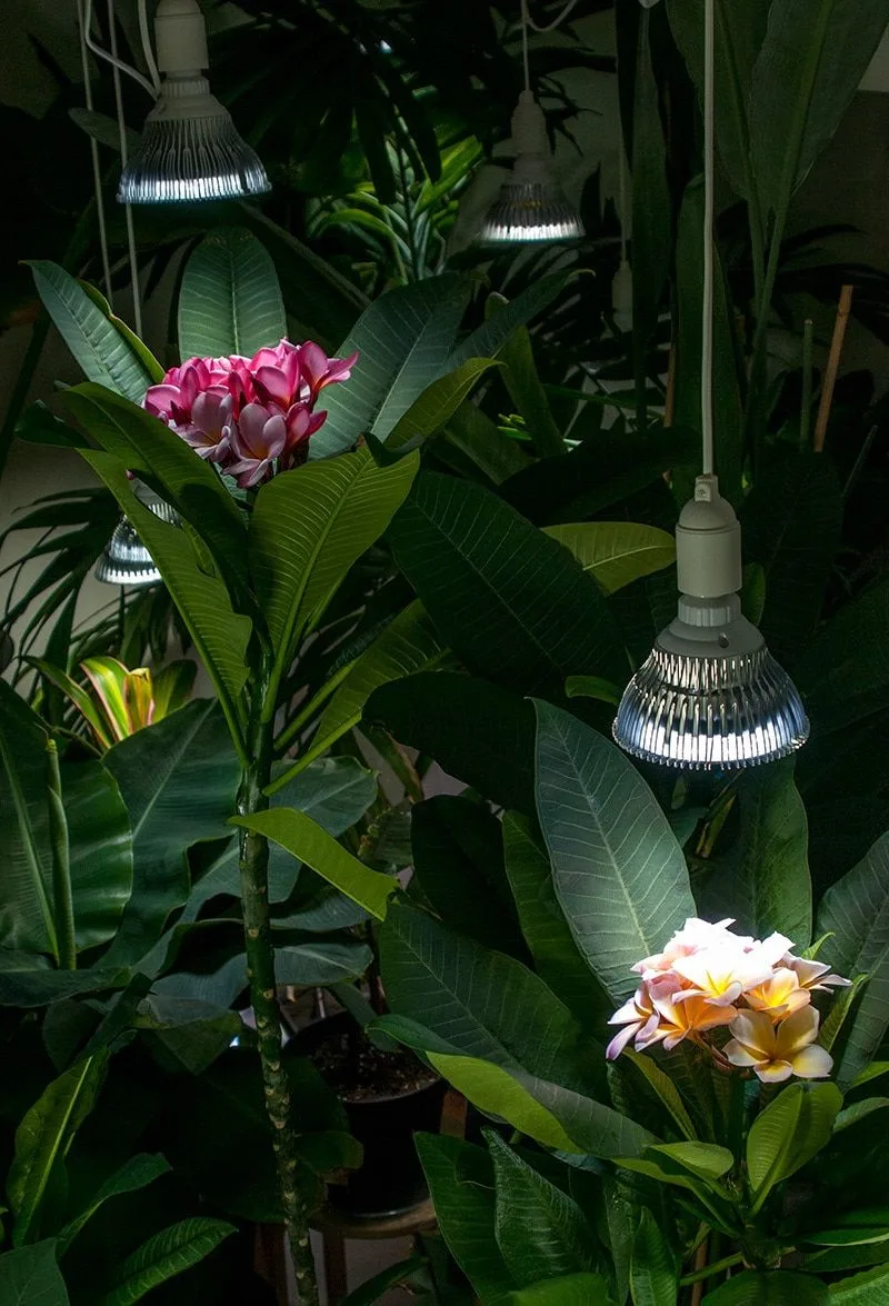 Indoor Lighting Solutions