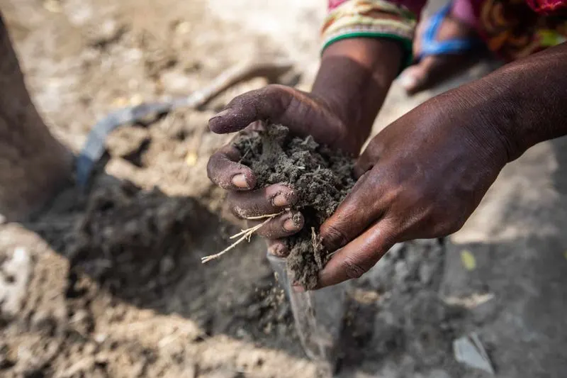 Indus Valley Composting