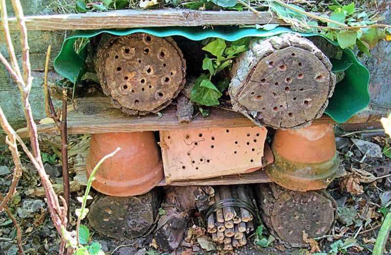 Insect Hotels