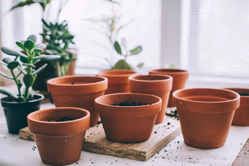 Inspect and Clean Pots