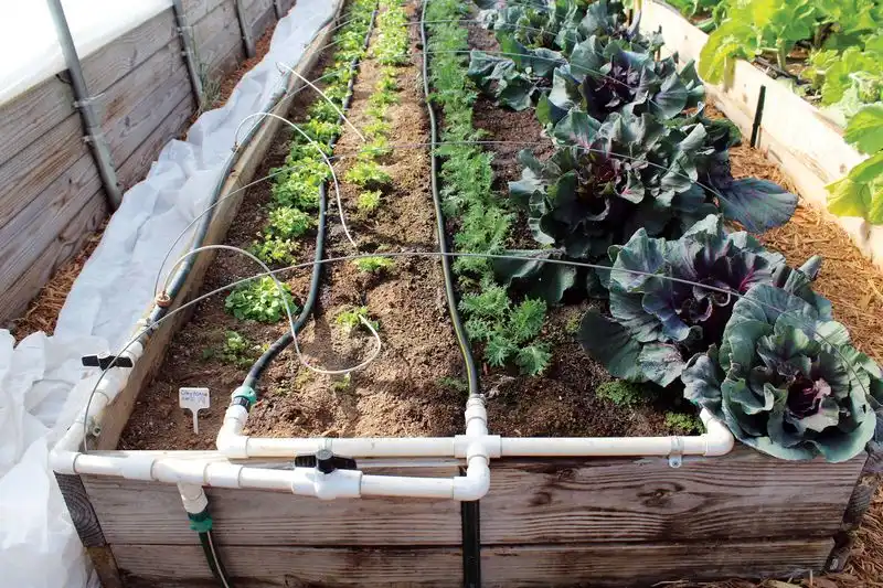 Install Drip Irrigation Systems