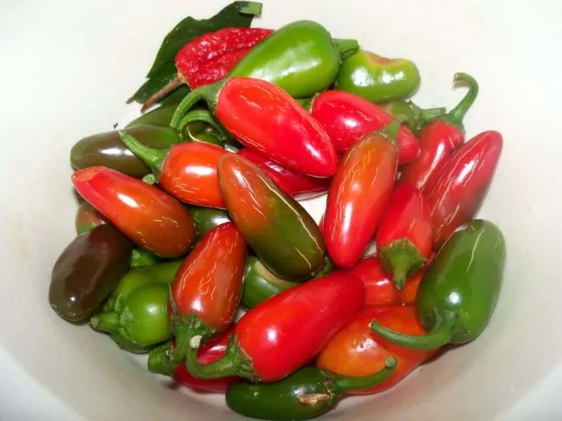 Jalapeño