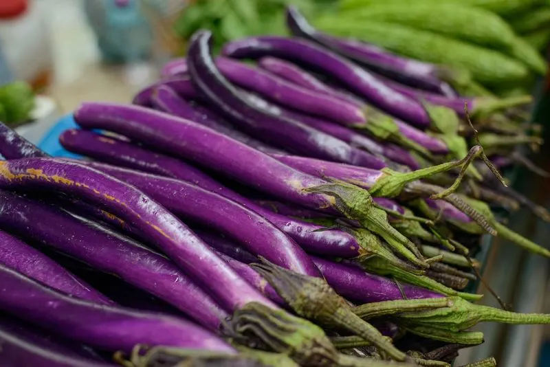 Japanese Eggplant