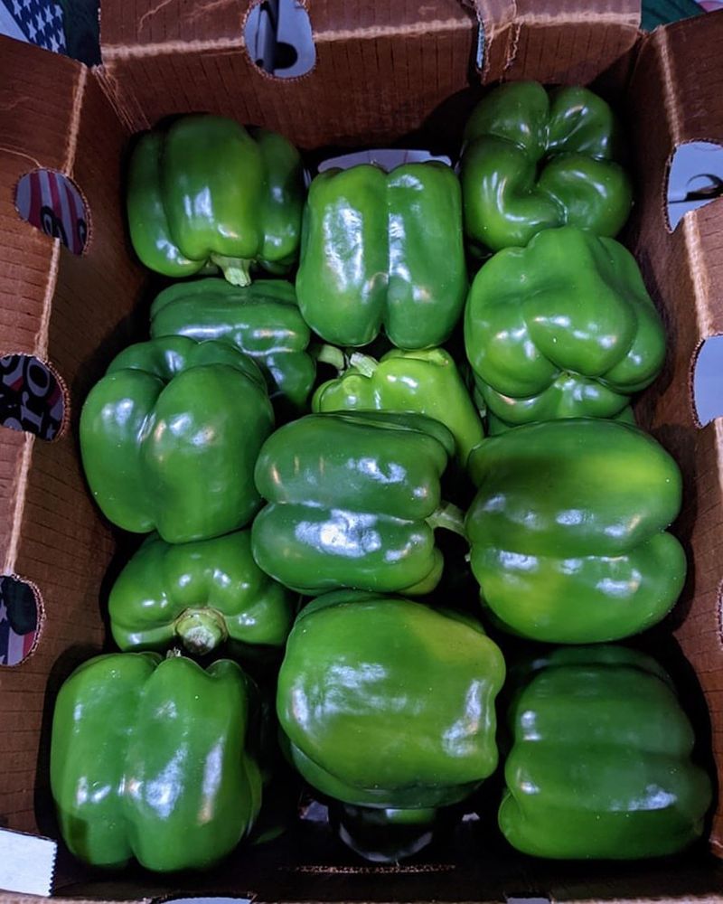 Jumbo Peppers