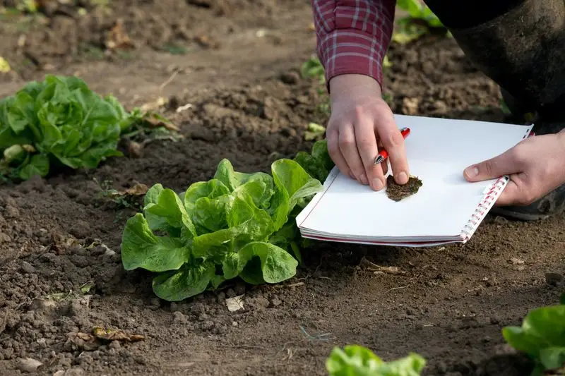 Keep the Soil Healthy
