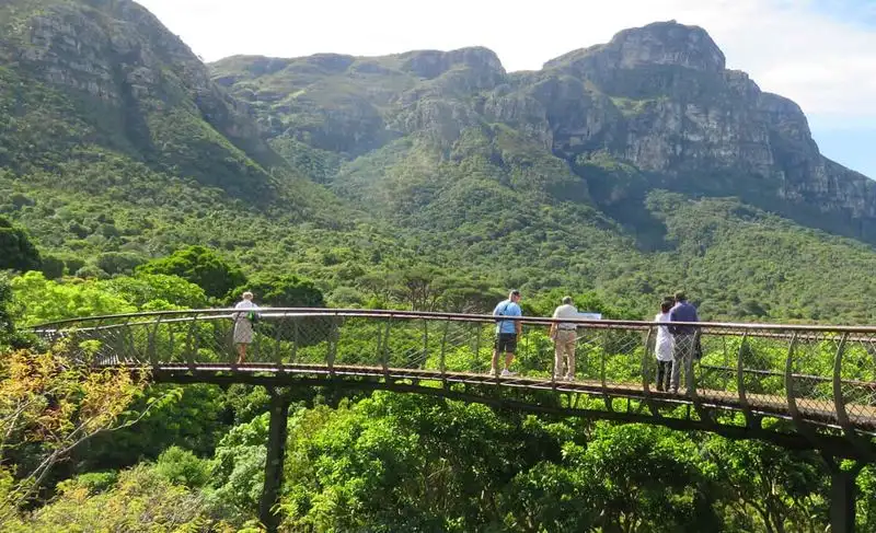 Kirstenbosch National Botanical Garden, South Africa