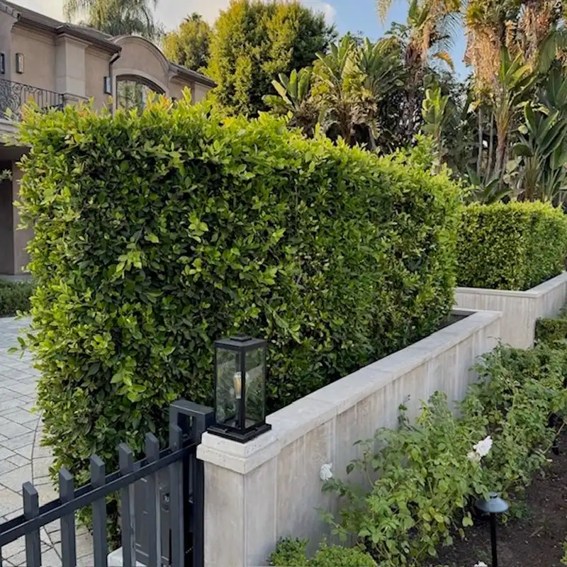 Laurel Fence