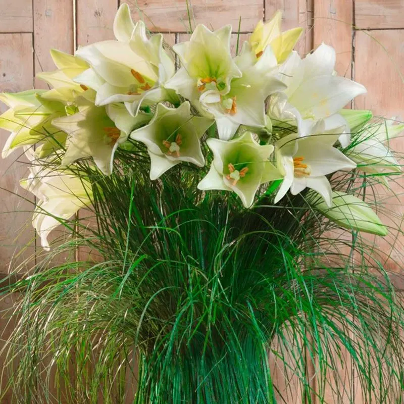 Lily Bouquets in Greece