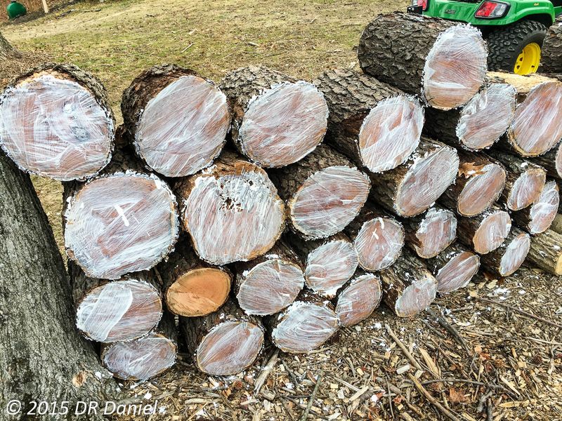 Log Piles