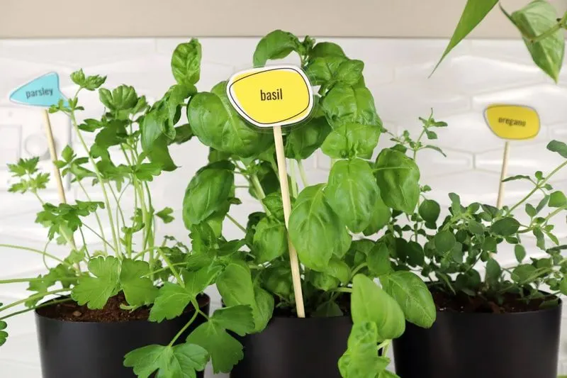 Make Your Own Plant Markers