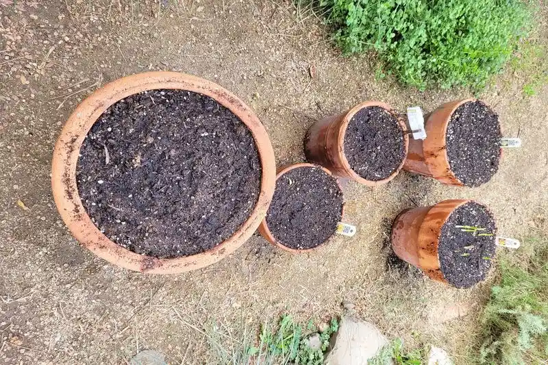 Making Soil Mixes