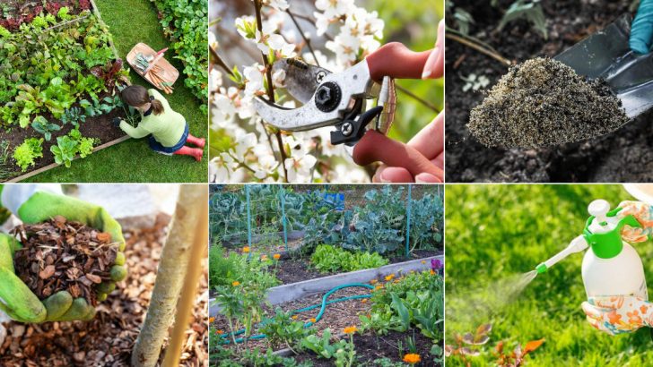 March Gardening Mistakes You Don’t Want to Make