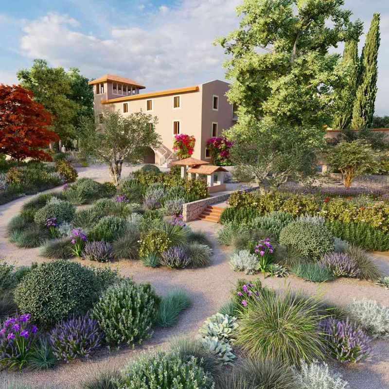 Mediterranean Garden