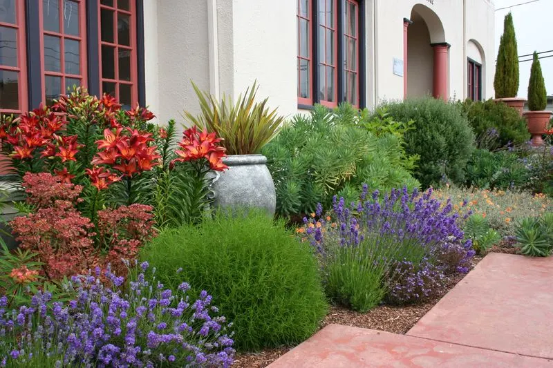 Mediterranean Gardens
