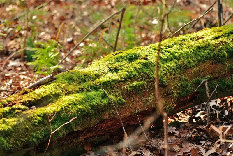 Microclimate Utilization