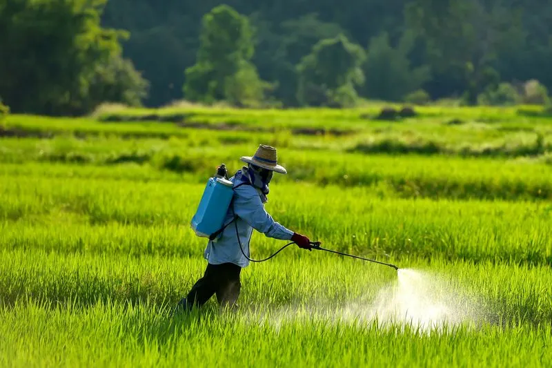 Minimal Pesticide Use