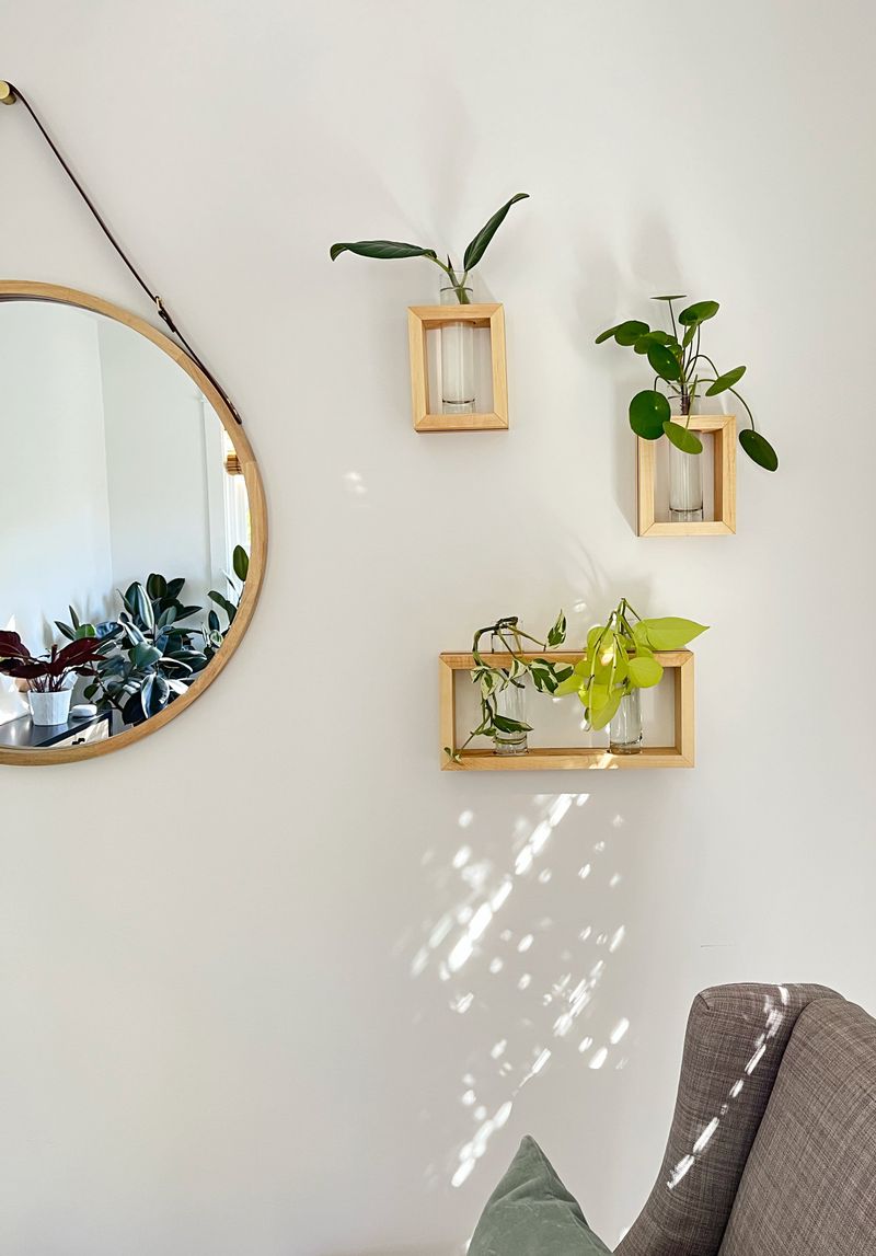 Mirror Frame Planter