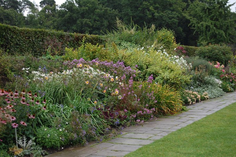 Mixed Shrub Border